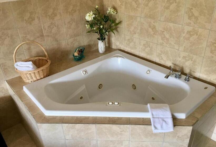 Стандартный Номер Кровать Кинг, Washington Burgess Inn