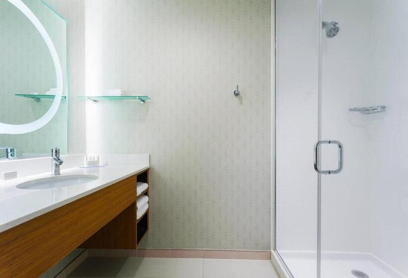キングサイドベッドのスタンダードワンルーム, Springhill Suites By Marriott Midland Odessa