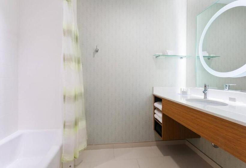 スタンダードスタジオ, Springhill Suites By Marriott Midland Odessa