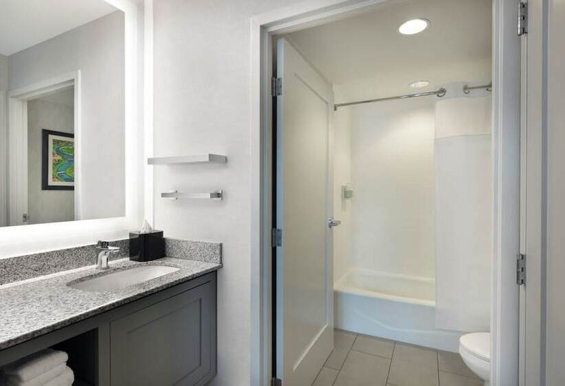 스위트, Residence Inn By Marriott Boston Back Bay/fenway