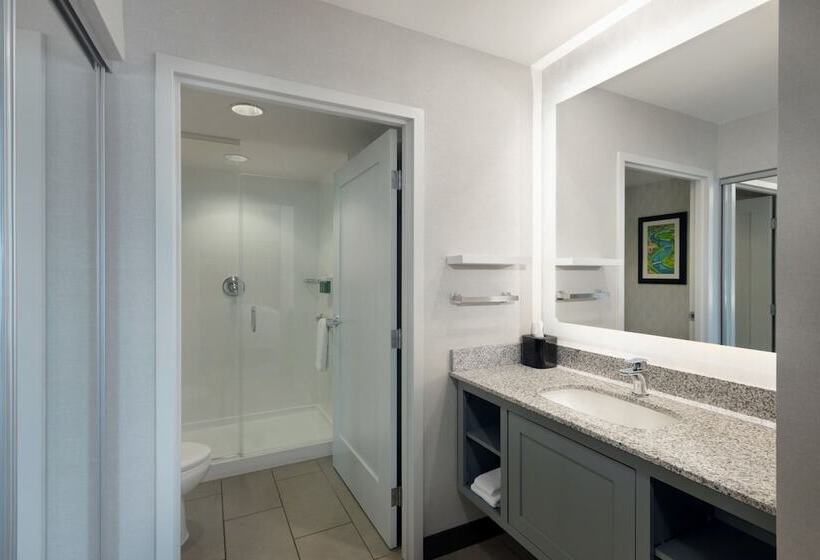 스위트, Residence Inn By Marriott Boston Back Bay/fenway
