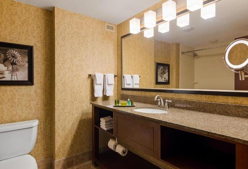 Номер Стандарт Вид на Реку, Oshkosh Marriott Waterfront Hotel & Convention Center