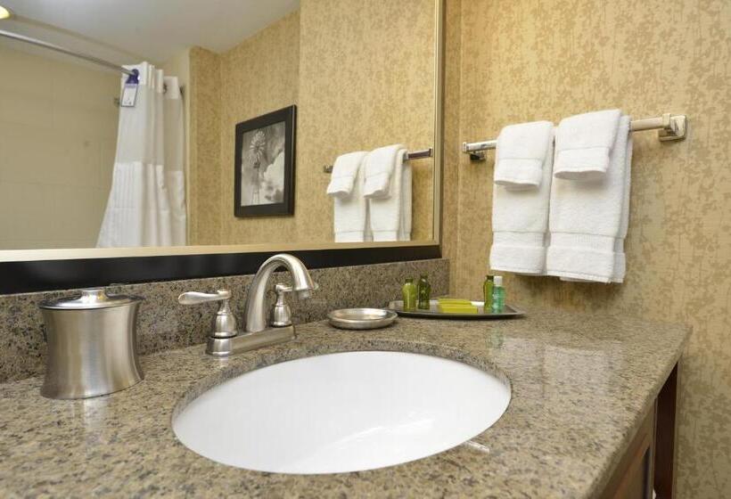 스탠다드 룸 강 전망, Oshkosh Marriott Waterfront Hotel & Convention Center