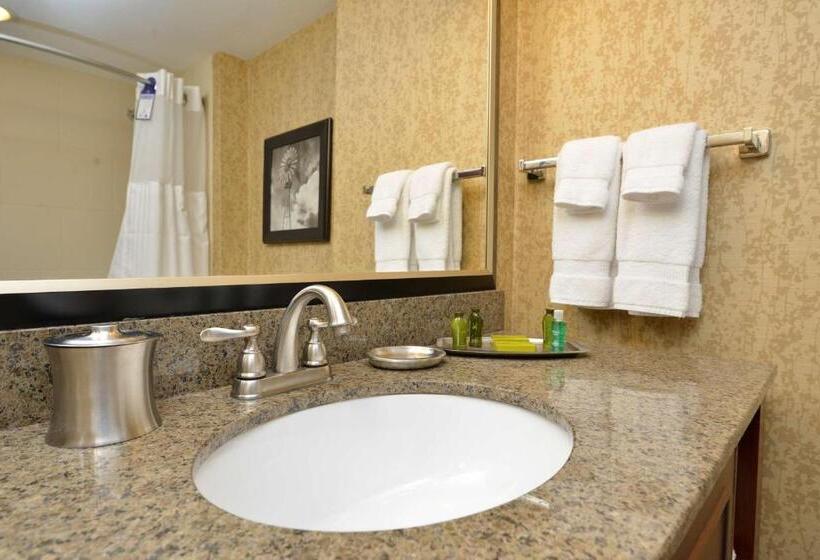 Номер Стандарт Вид на Реку, Oshkosh Marriott Waterfront Hotel & Convention Center