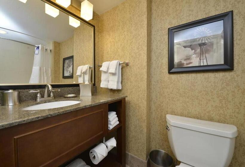 Люкс Кровать Кинг, Oshkosh Marriott Waterfront Hotel & Convention Center