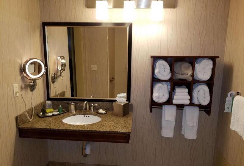 Номер Стандарт Кровать Кинг Адаптированный для Инвалидов, Oshkosh Marriott Waterfront Hotel & Convention Center