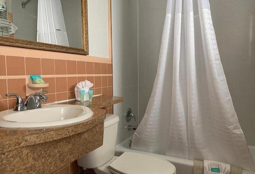 Стандартный Номер Кровать Кинг, Dolphin Inn