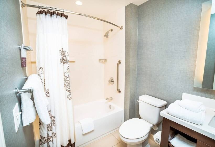 套房, Residence Inn By Marriott Albany Washington Avenue