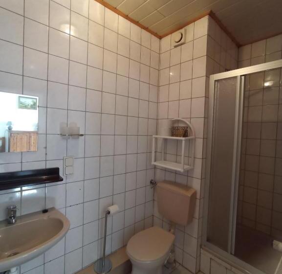 اتاق عادی, Gasthaus Zum Goldenen Roß