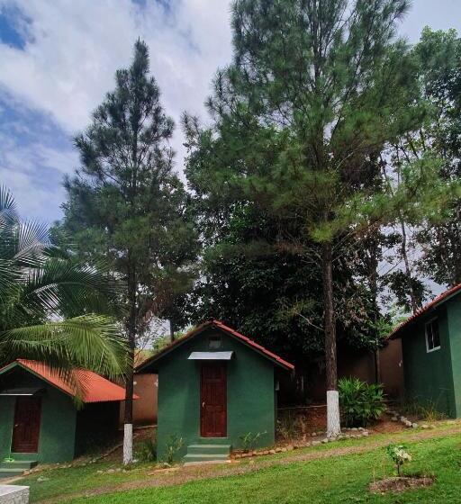 Номер Deluxe, Los Pinos De Torio