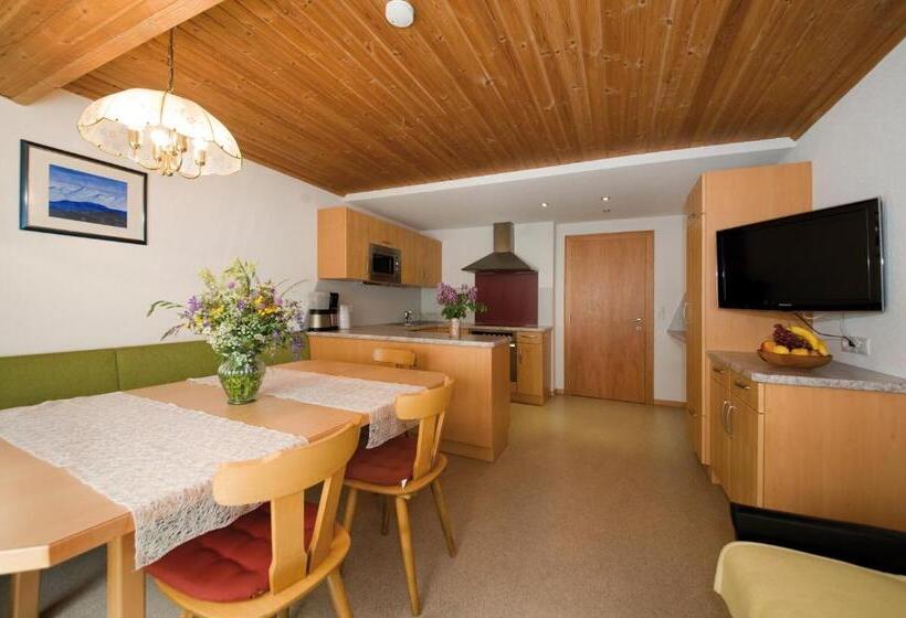 Апартаменты 1 Спальня, Garni Austria Kappl