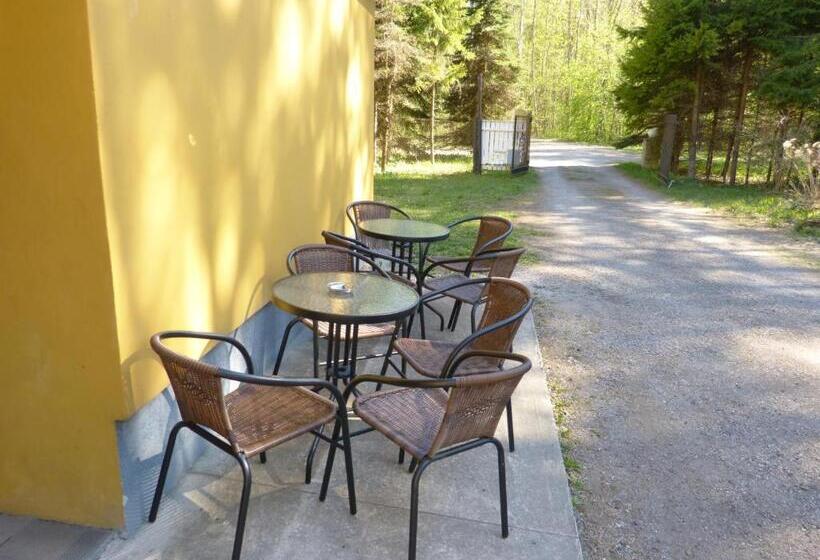 اتاق خانوادگی با سرویس بهداشتی مشترک, Viva Pirita Hostel