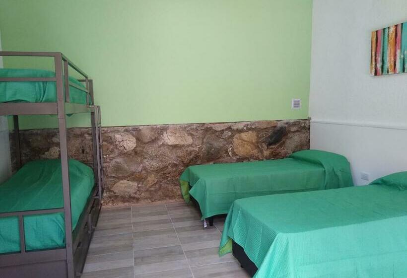 מיטה בחדר משותף, Nomades Hostel