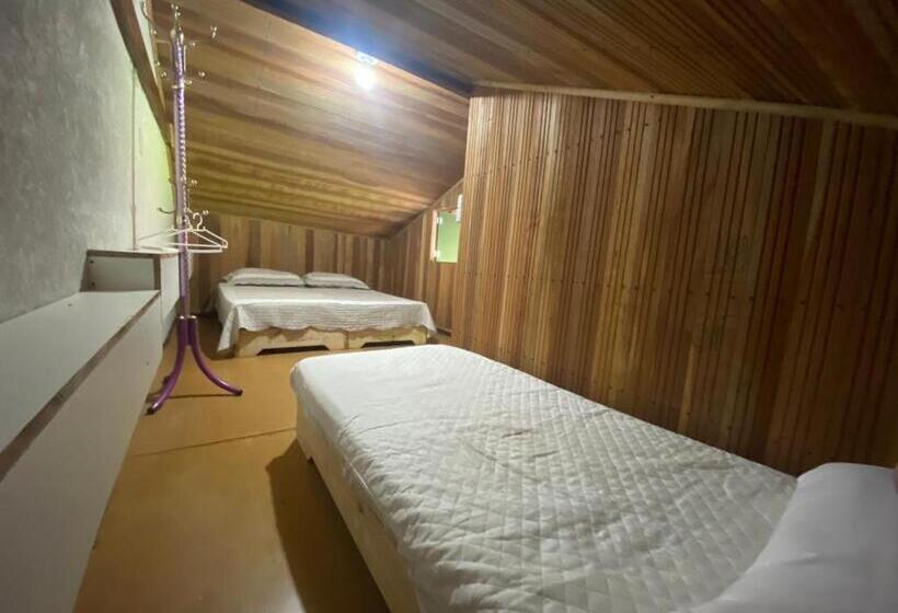 高级园景房, Hostel Raizer