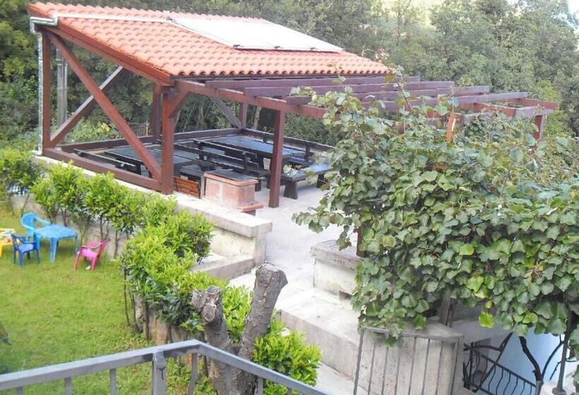 استودیوی استاندارد, Apartment Biro Kestenovi