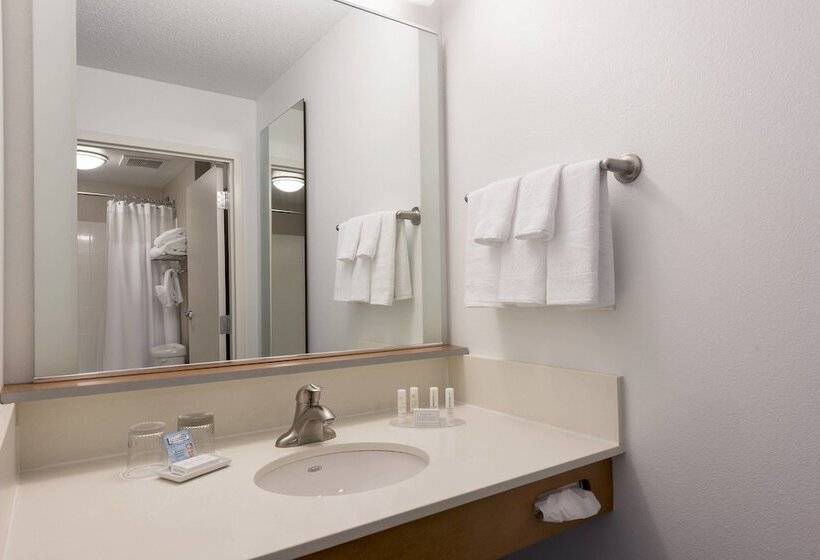 Студия Стандарт, Springhill Suites Detroit Auburn Hills
