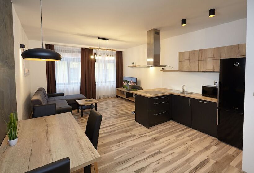 １ベッドルームアパートメント, Residence U černé Věže české Budějovice