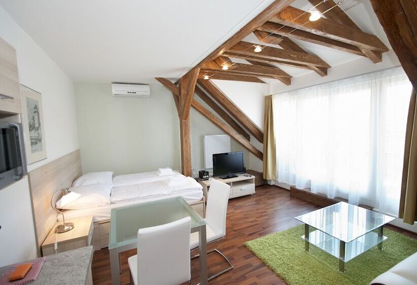 带1个卧室的公寓, Residence U černé Věže české Budějovice