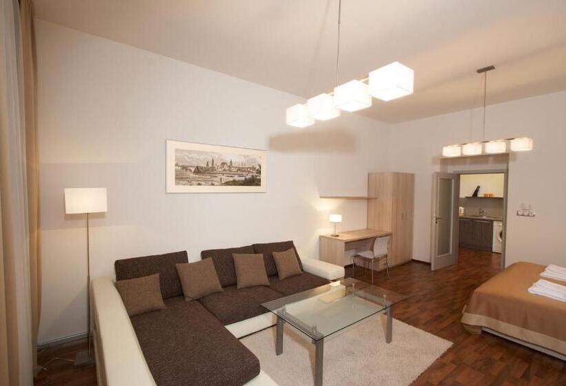 １ベッドルームアパートメント, Residence U černé Věže české Budějovice