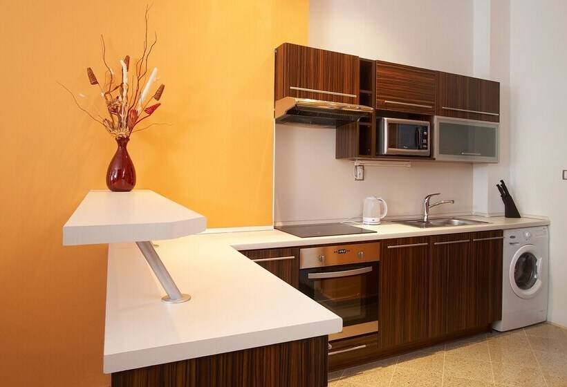 １ベッドルームアパートメント, Residence U černé Věže české Budějovice