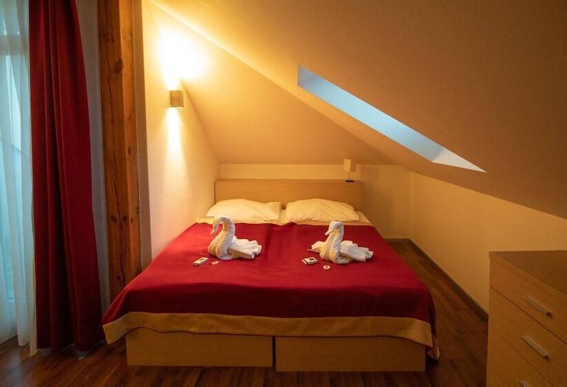 １ベッドルームアパートメント, Residence U černé Věže české Budějovice