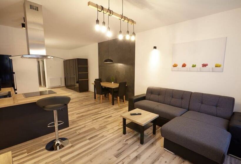 带1个卧室的公寓, Residence U černé Věže české Budějovice