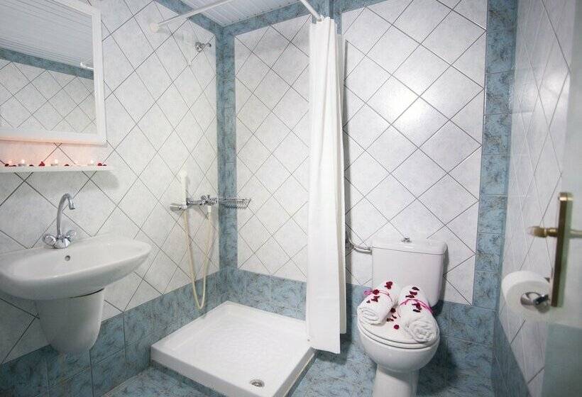 Студия Стандарт, Theoni Apartments