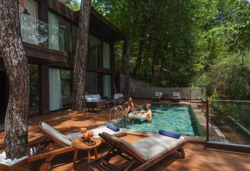 Вилла 1 Спальня Вид на Сад, Rixos Premium Göcek - Adult Only