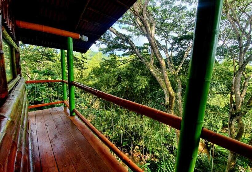패밀리 룸, Room In Lodge   Family Cabin With River View