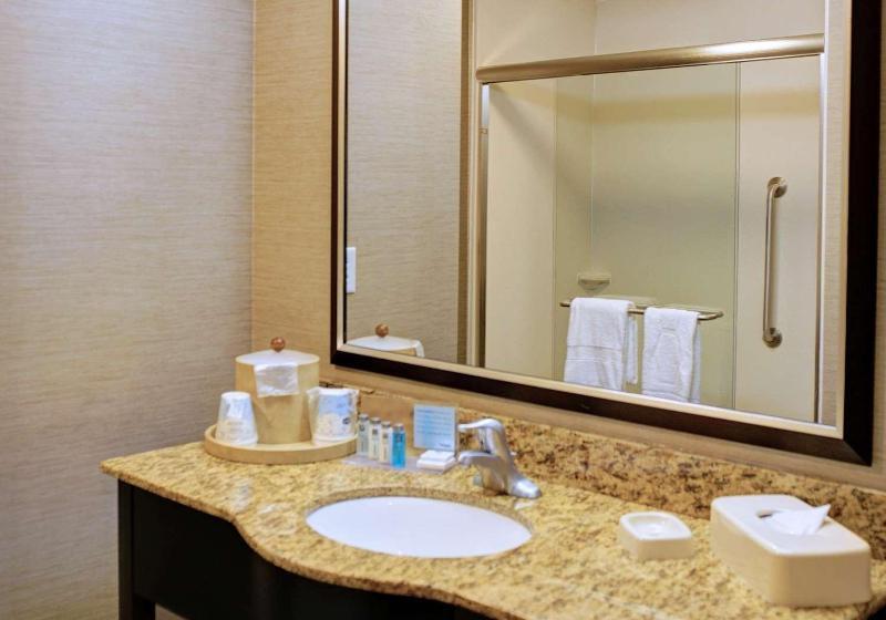 Студио Стандарт Кровать Кинг, Hampton Inn Crystal River, Fl