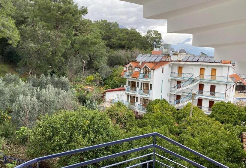 Номер Стандарт, Naturella Apart