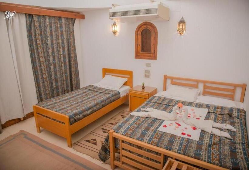 اتاق سوپریور با چشم‌انداز دریا, Lagona Dahab
