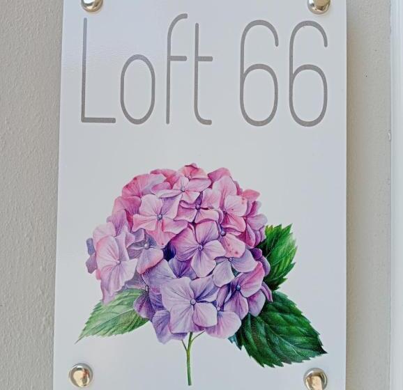 套房, Loft 66