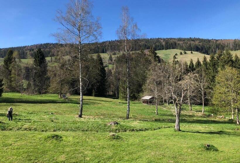 Полулюкс с Балконом, Das Schwarzwald