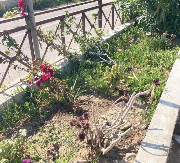 经济房, La Meriggia B&b