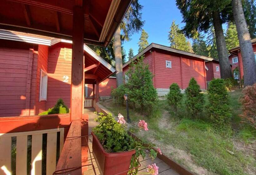 Шале Superior 1 Спальня, Alpin Borovets, алпин боровец