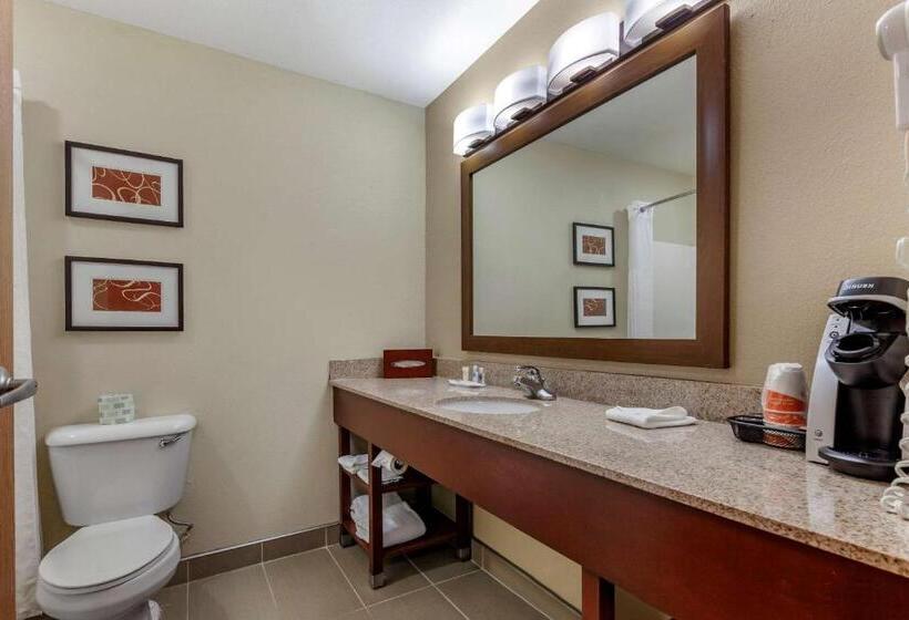 Люкс Superior, Comfort Suites Delavan  Lake Geneva Area