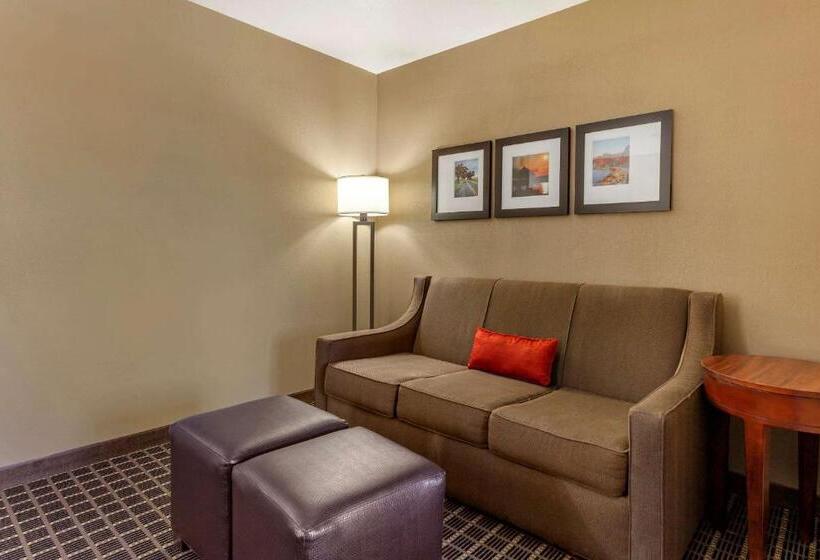 Люкс Адаптированный для Инвалидов, Comfort Suites Delavan  Lake Geneva Area