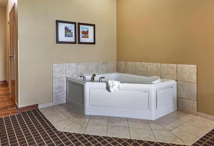 Люкс Адаптированный для Инвалидов, Comfort Suites Delavan  Lake Geneva Area