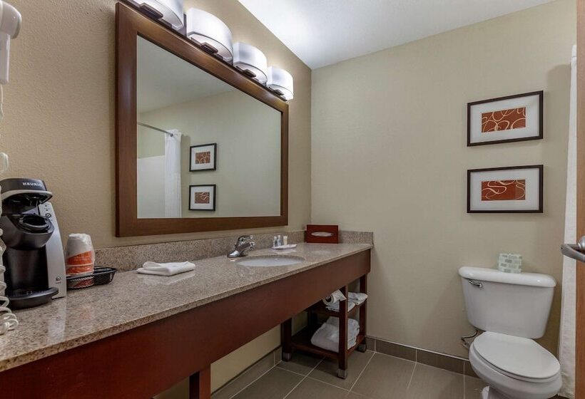 Люкс, Comfort Suites Delavan  Lake Geneva Area