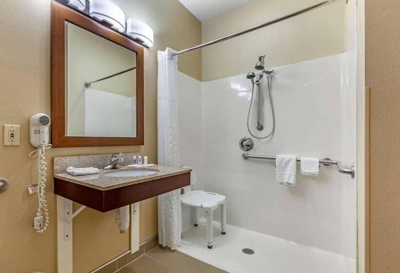 Люкс Адаптированный для Инвалидов, Comfort Suites Delavan  Lake Geneva Area