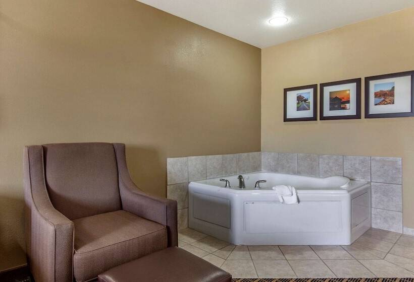 Люкс Адаптированный для Инвалидов, Comfort Suites Delavan  Lake Geneva Area