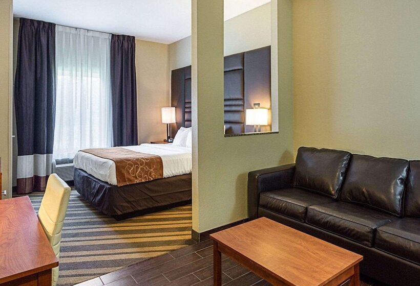 Люкс, Comfort Suites Near Tanger Outlet Mall