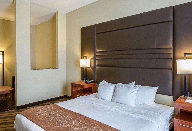 Люкс Адаптированный для Инвалидов, Comfort Suites Near Tanger Outlet Mall