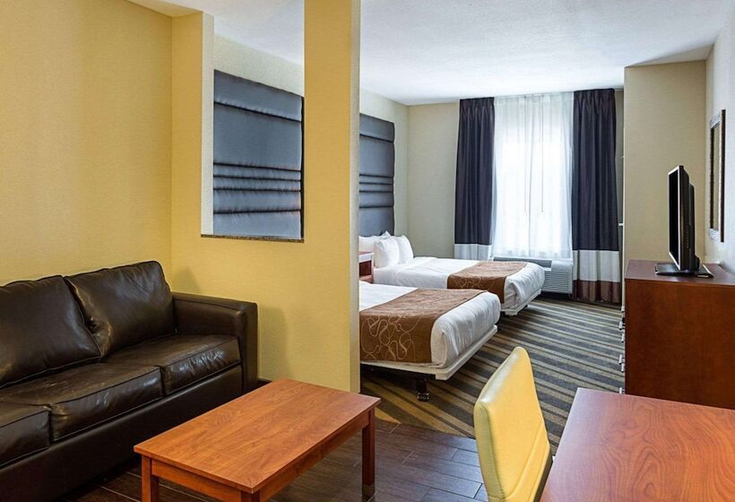 Люкс Адаптированный для Инвалидов, Comfort Suites Near Tanger Outlet Mall