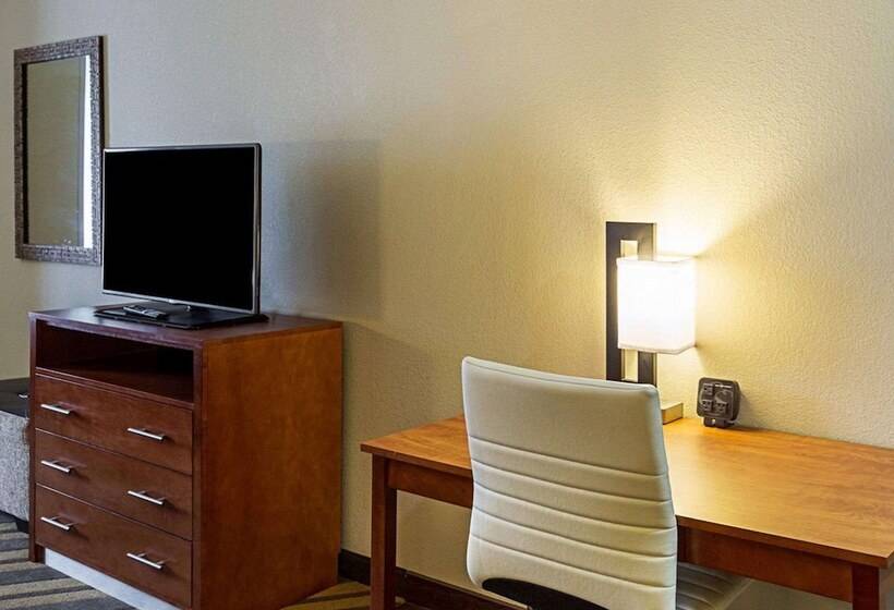 Люкс Адаптированный для Инвалидов, Comfort Suites Near Tanger Outlet Mall