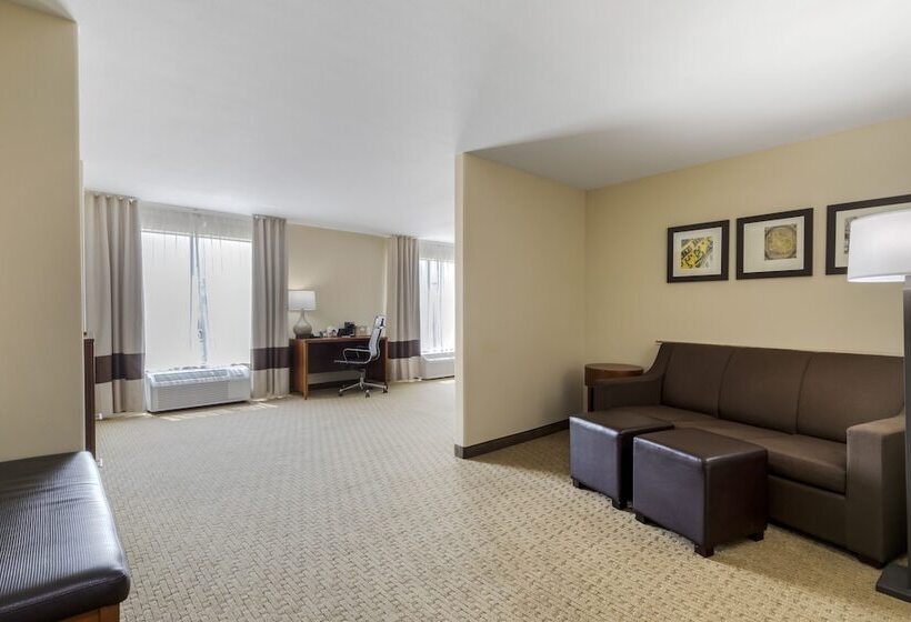 Люкс Адаптированный для Инвалидов, Comfort Suites Pflugerville  Austin North