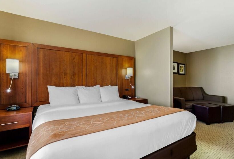 Люкс Адаптированный для Инвалидов, Comfort Suites Pflugerville  Austin North