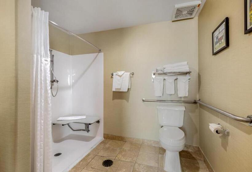 Люкс Адаптированный для Инвалидов, Comfort Suites Pflugerville  Austin North