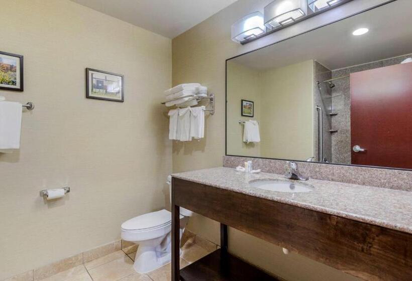 Люкс Кровать Кинг, Comfort Suites Pflugerville  Austin North